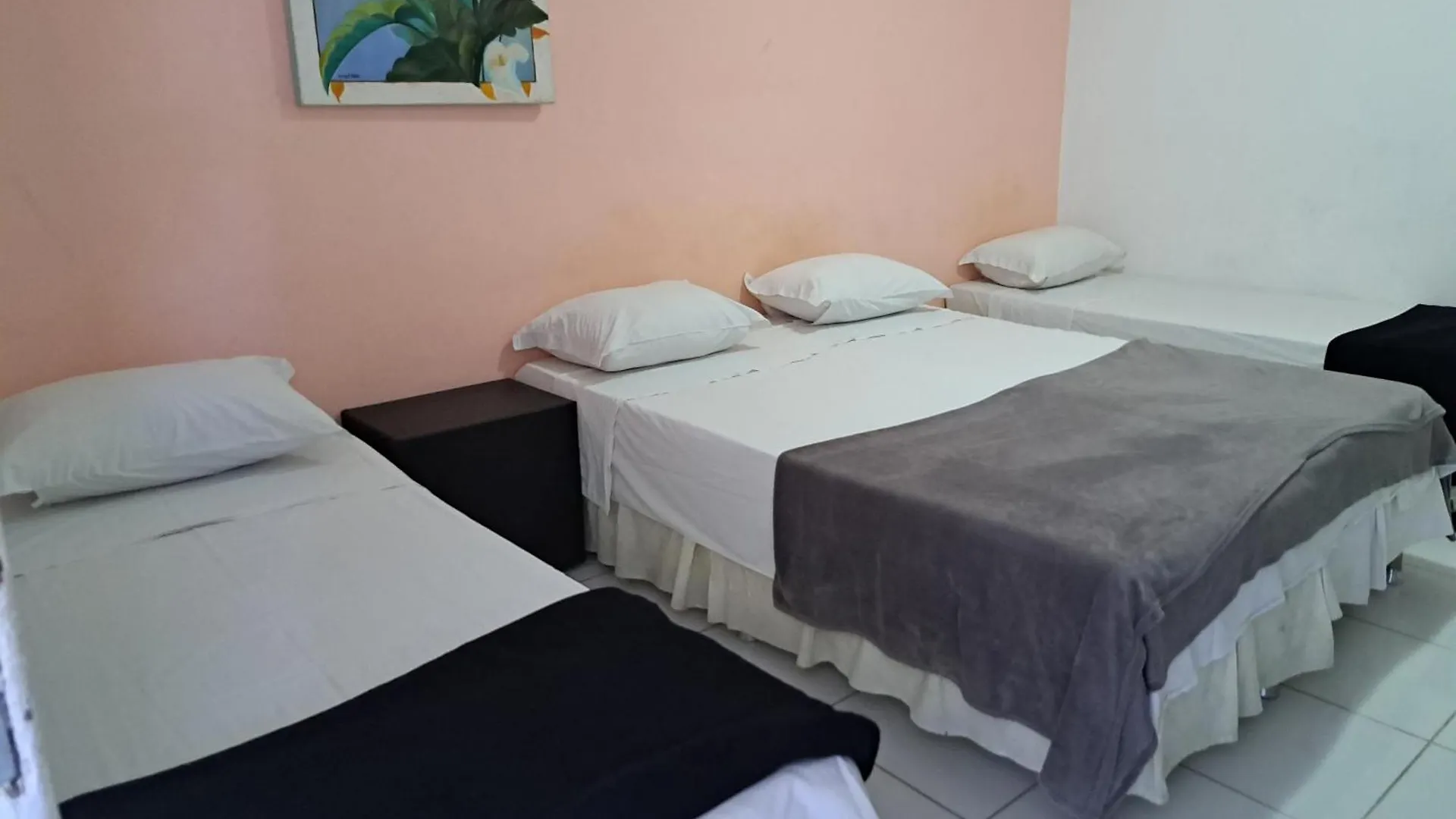 Hotel Pousada Recife Tropical Brazil
